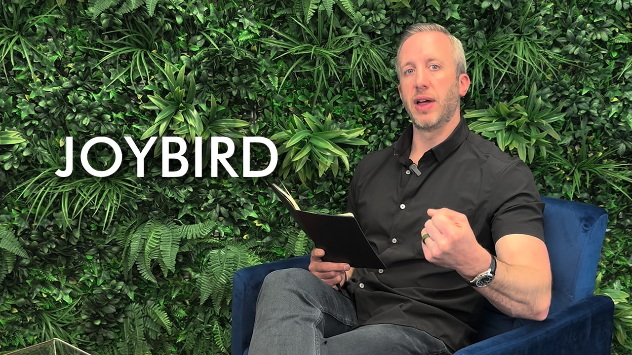 Joybird
